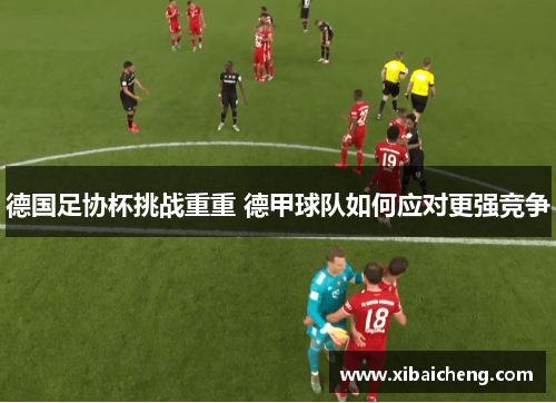 德国足协杯挑战重重 德甲球队如何应对更强竞争