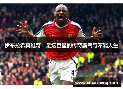 伊布拉希莫维奇:足坛巨星的传奇霸气与不羁人生 伊布拉希莫维奇:足坛巨星的传奇霸气与不羁人生