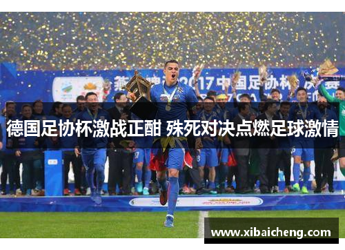 德国足协杯激战正酣 殊死对决点燃足球激情