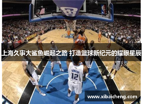上海久事大鲨鱼崛起之路 打造篮球新纪元的耀眼星辰 上海久事大鲨鱼崛起之路 打造篮球新纪元的耀眼星辰