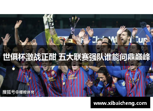 世俱杯激战正酣 五大联赛强队谁能问鼎巅峰 世俱杯激战正酣 五大联赛强队谁能问鼎巅峰